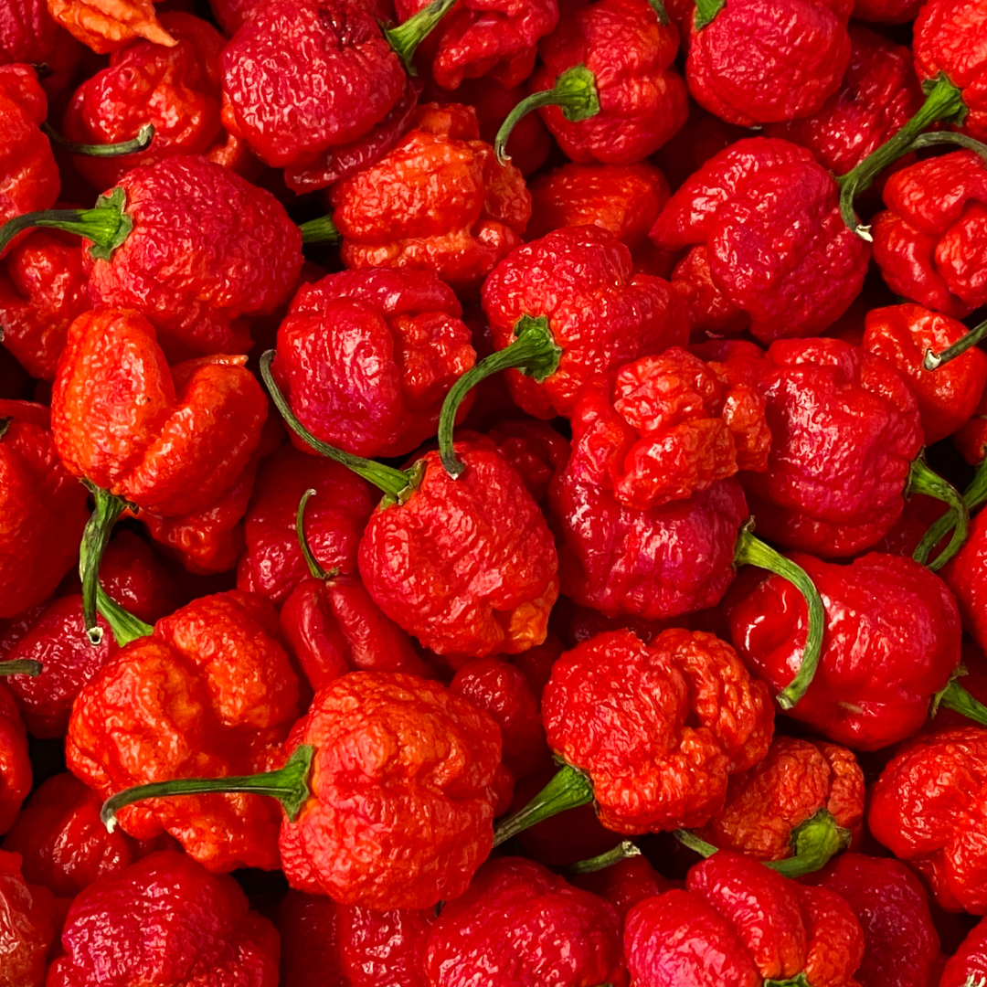 The Carolina Reaper: Exploring the World's Hottest Pepper